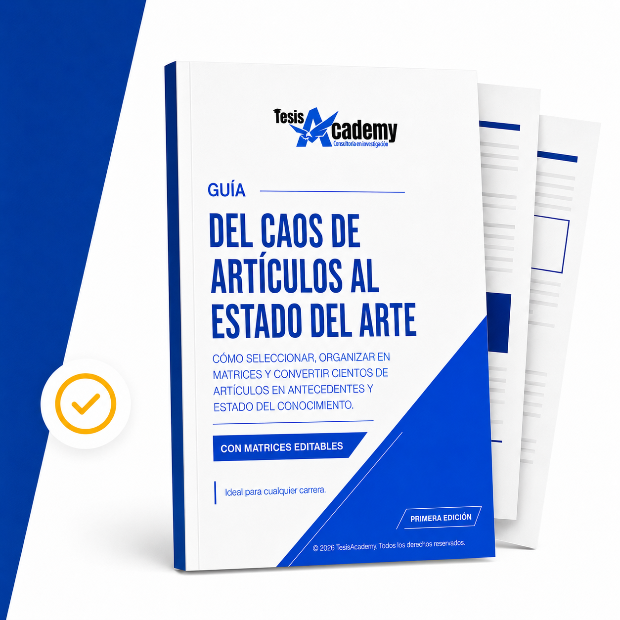 De cientos de artículos al estado del conocimiento: selección, matrices, antecedentes, brechas y estado del arte